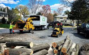 Best Tree Maintenance Programs  in Ladera, CA