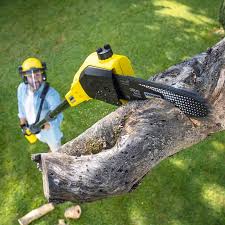 Best Storm Damage Tree Cleanup  in Ladera, CA